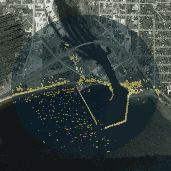 GIF Image