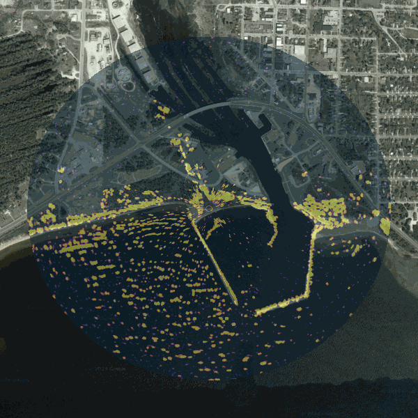 GIF Image