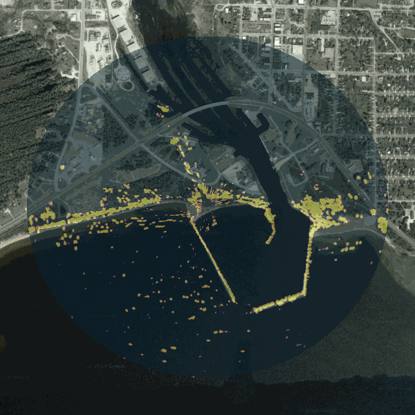 GIF Image