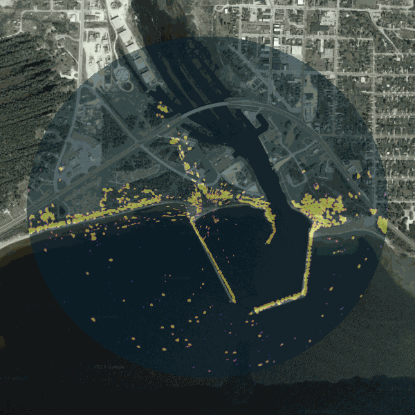 GIF Image