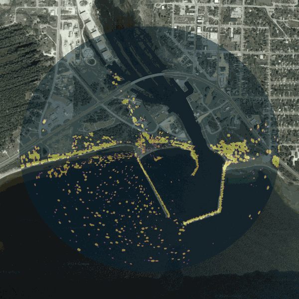 GIF Image