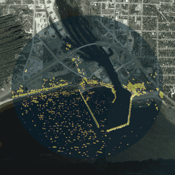 GIF Image